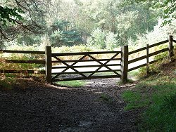 Wilverley Inclosure walk Wooden Gate