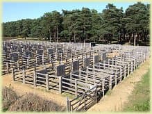 beaulieu road pony sales