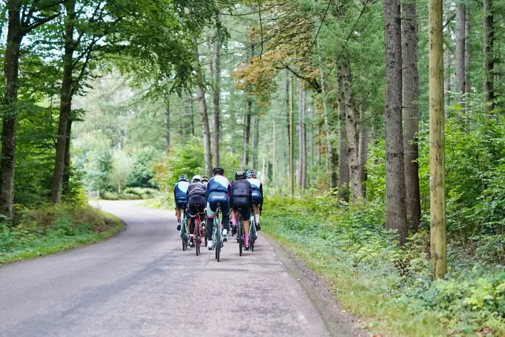 Cycling In The New Forest 1200x800