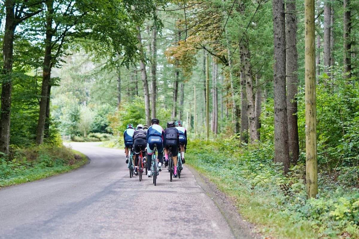 the new forest tour cycling