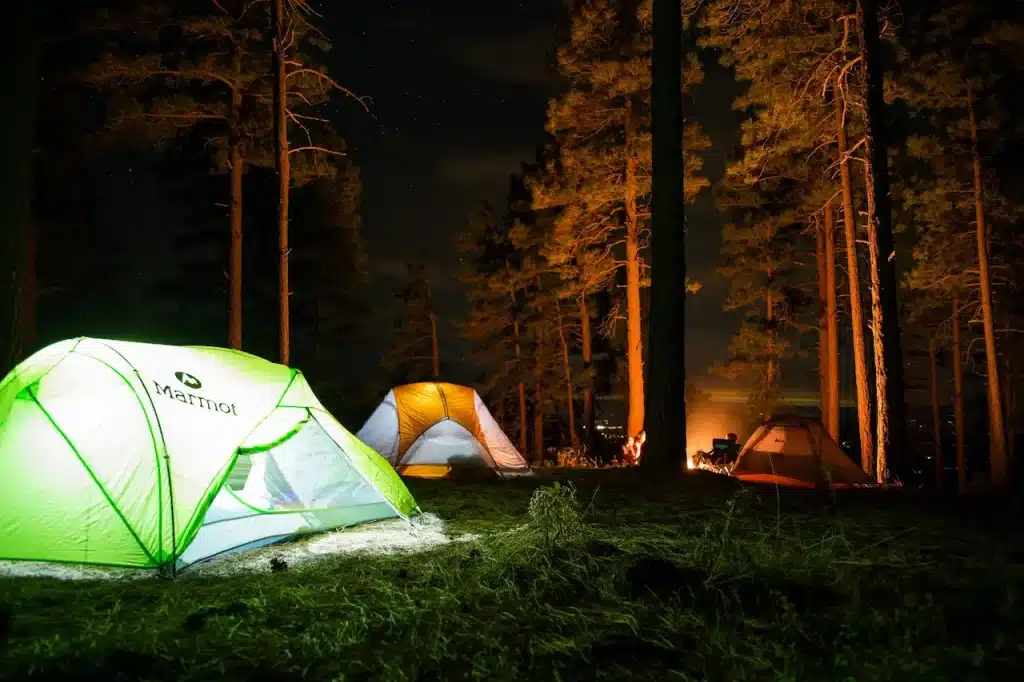 Camping at Night New Forest Activities