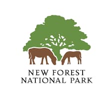 New Forest National Park UK Info | New Forest National Park