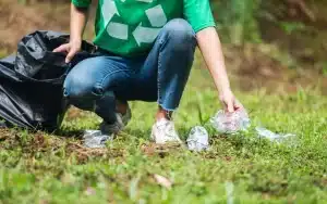 Cleaning the Forest New Forest Ambassadors