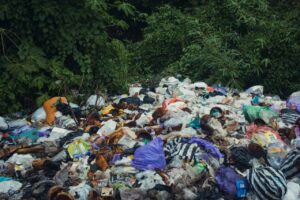 A large pile of garbage in the forest 