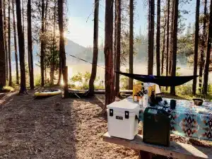 Camping set-up Best Camping Fridges UK