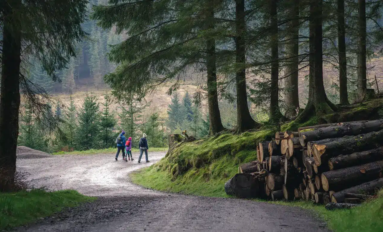 Family hiking in forest. Keswick, UK