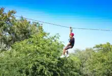 The Most Thrilling Shore Excursions
