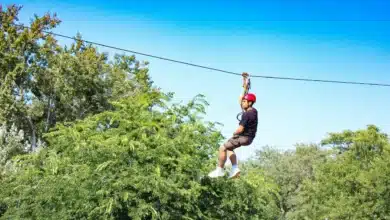 The Most Thrilling Shore Excursions