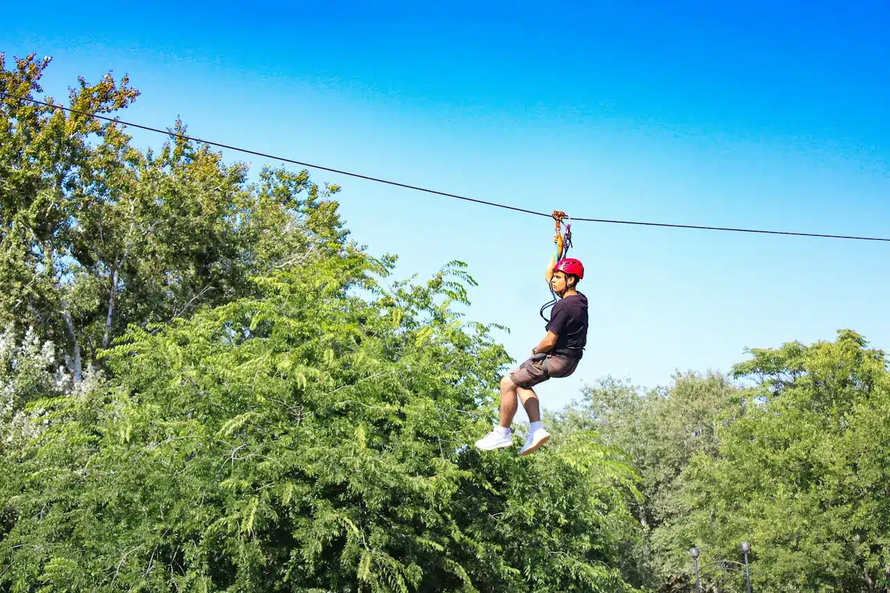 The Most Thrilling Shore Excursions