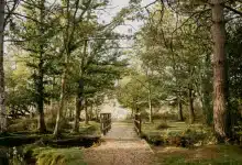 New Forest Getaway