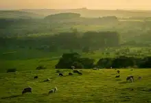 UK’s best natural spots