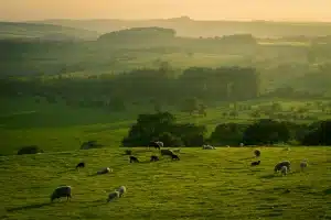 UK’s best natural spots