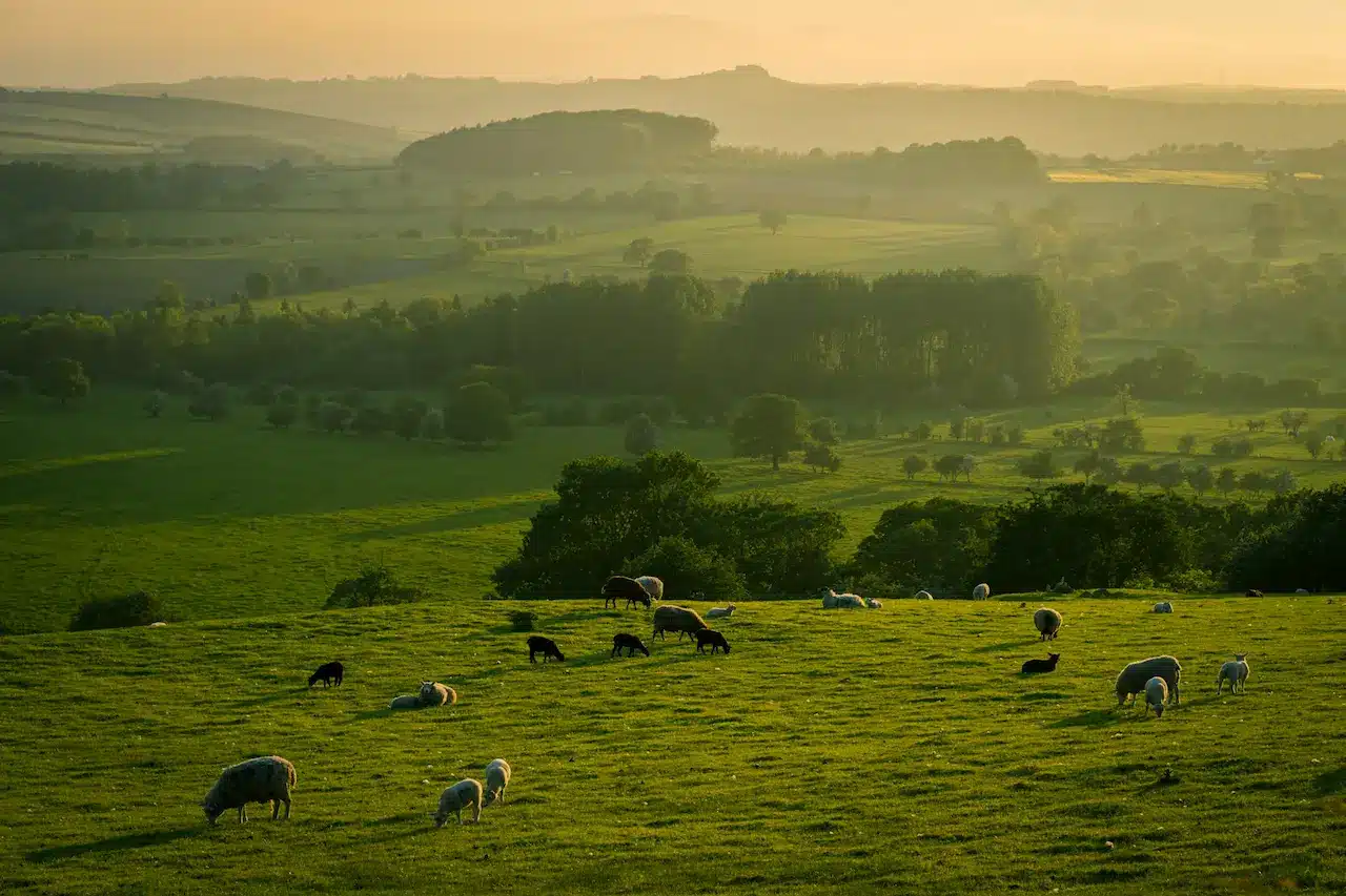 UK’s best natural spots
