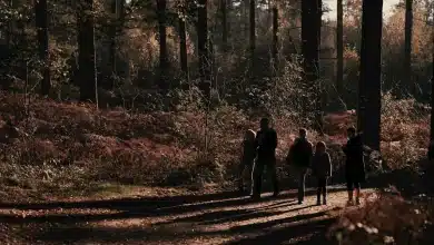 New Forest Activities for Single-Parent Families