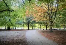 Keep New Forest Water Clean