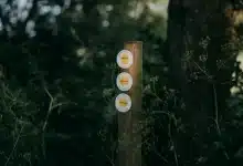 Hiking in the Woods