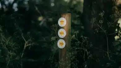 Hiking in the Woods